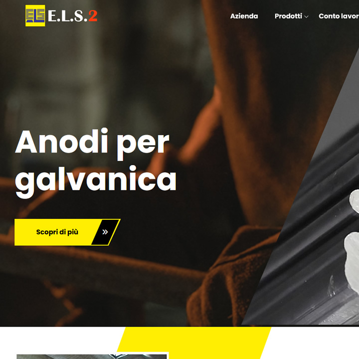 ELS 2